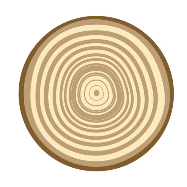 H12-006 Tree Ring Carpet