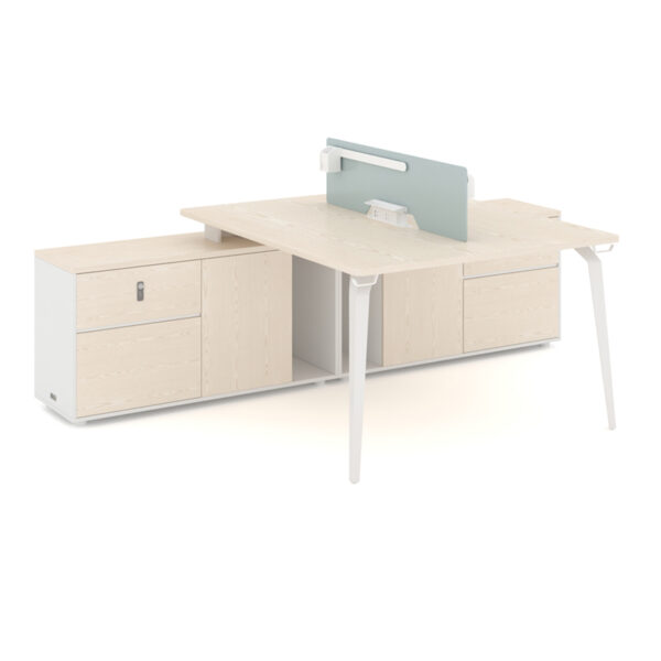 S01-046 Deputy Director Desk Model B